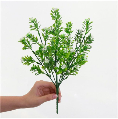 Cụm cỏ ngâu cắm điểm