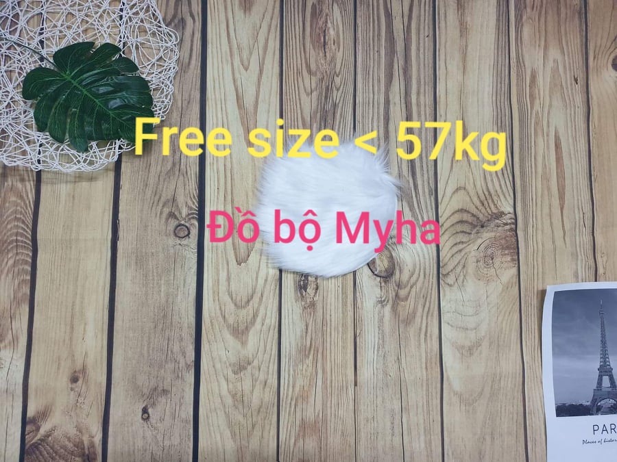 [HCM]Sét tiểu thư hoa voan Thái