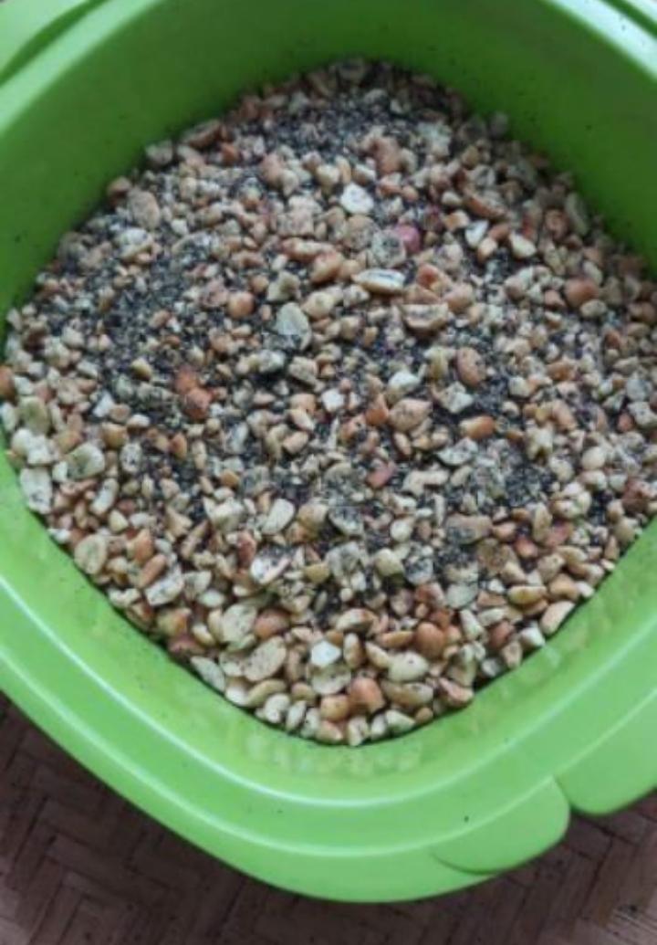 500g muối lạc vừng chay  (Lạc đỏ vừng đen)
