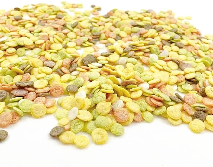 Bắp dẹp 50gr cho hamster