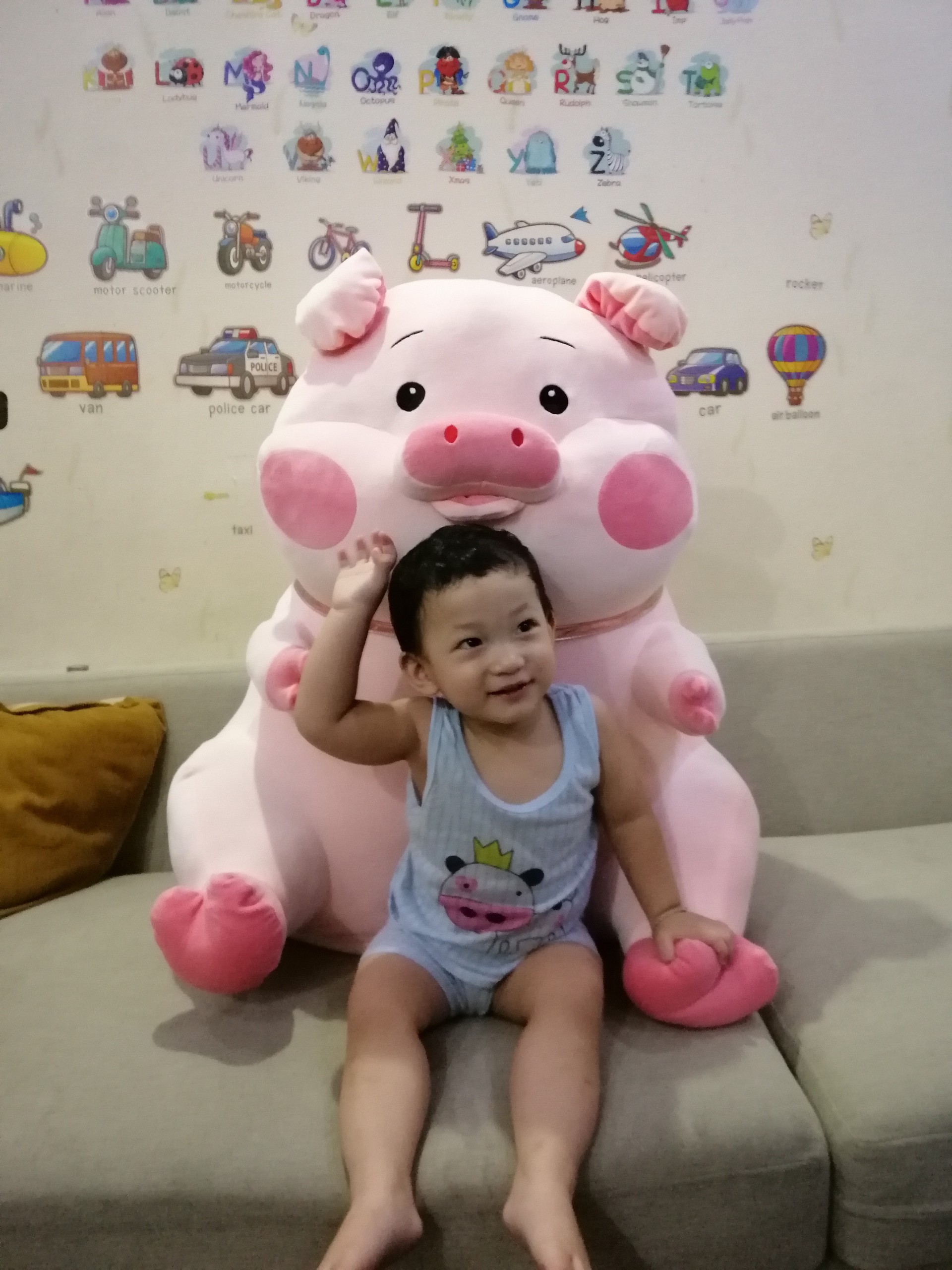 GẤU BÔNG HEO CÁNH 7 MÀU