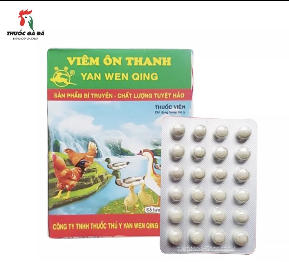 VIÊM ÔN THANH 10 HỘP (THUỐC GÀ ĐÁ)