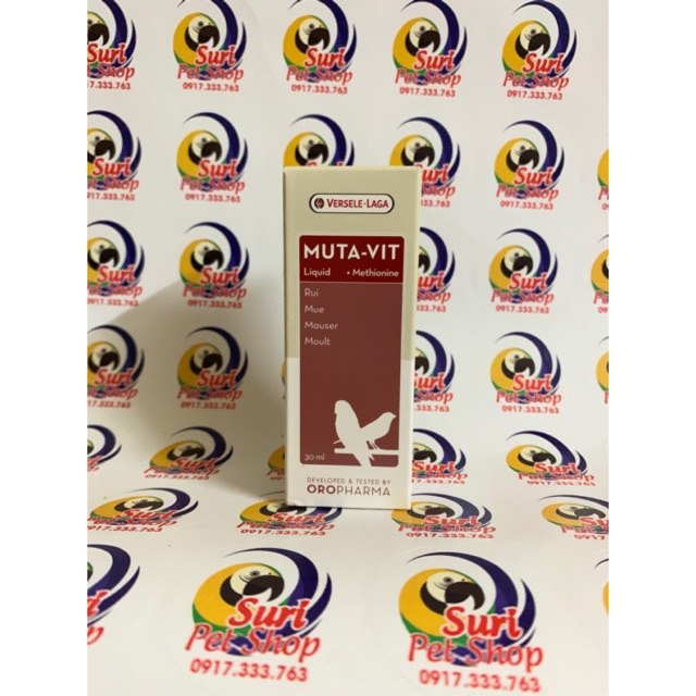 Vitamin thay lông và kích hót cho chimvẹt chai 10ml
