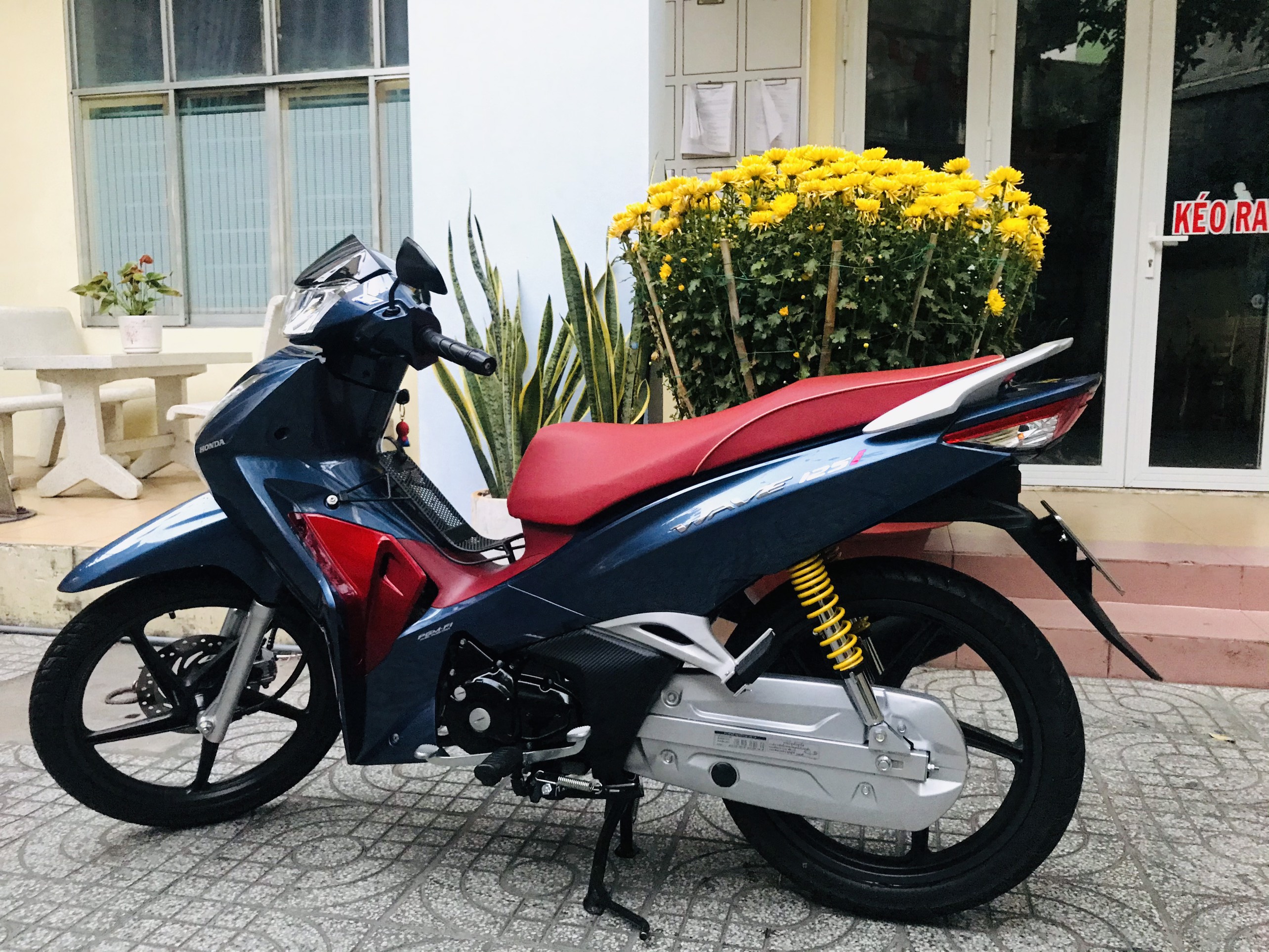 Baga lưới Thái đời 2018-2022 dành cho future 125i, Wave 125i
