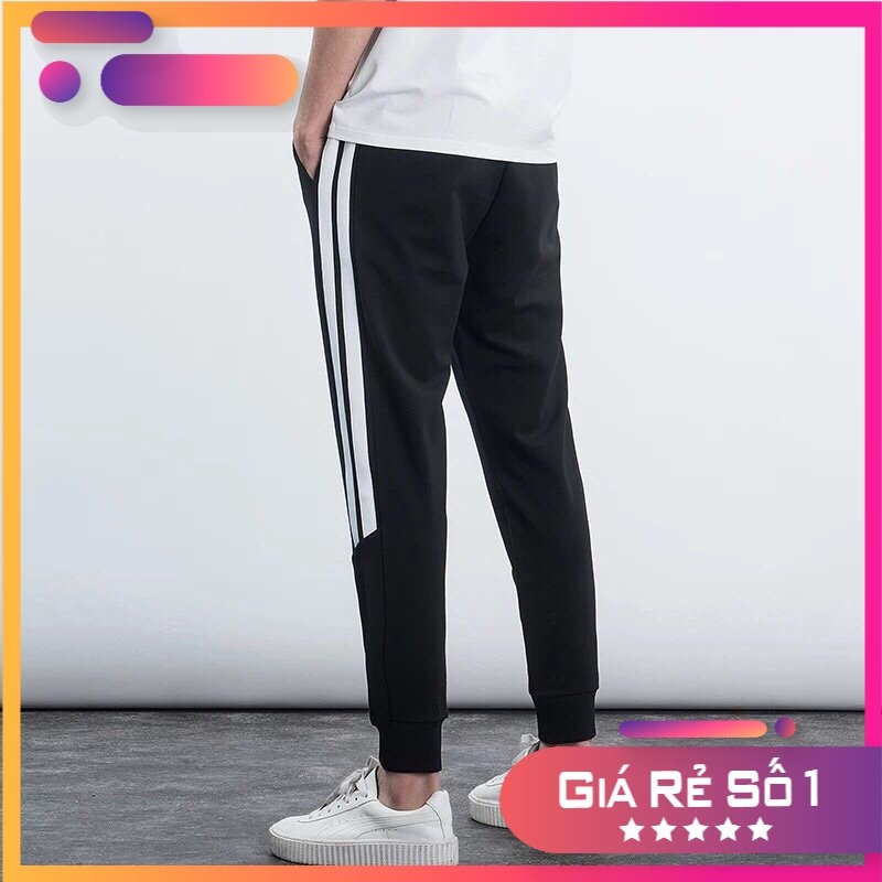 QUẦN THỂ THAO JOGGER NAM NỮ  BO GẤU