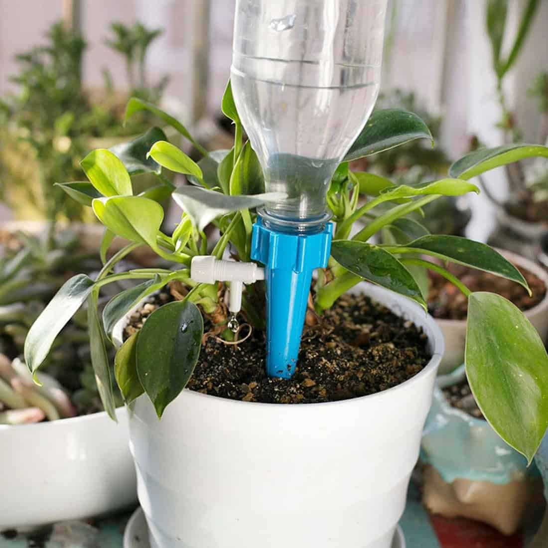 Automatic drip watering bottle head - small type