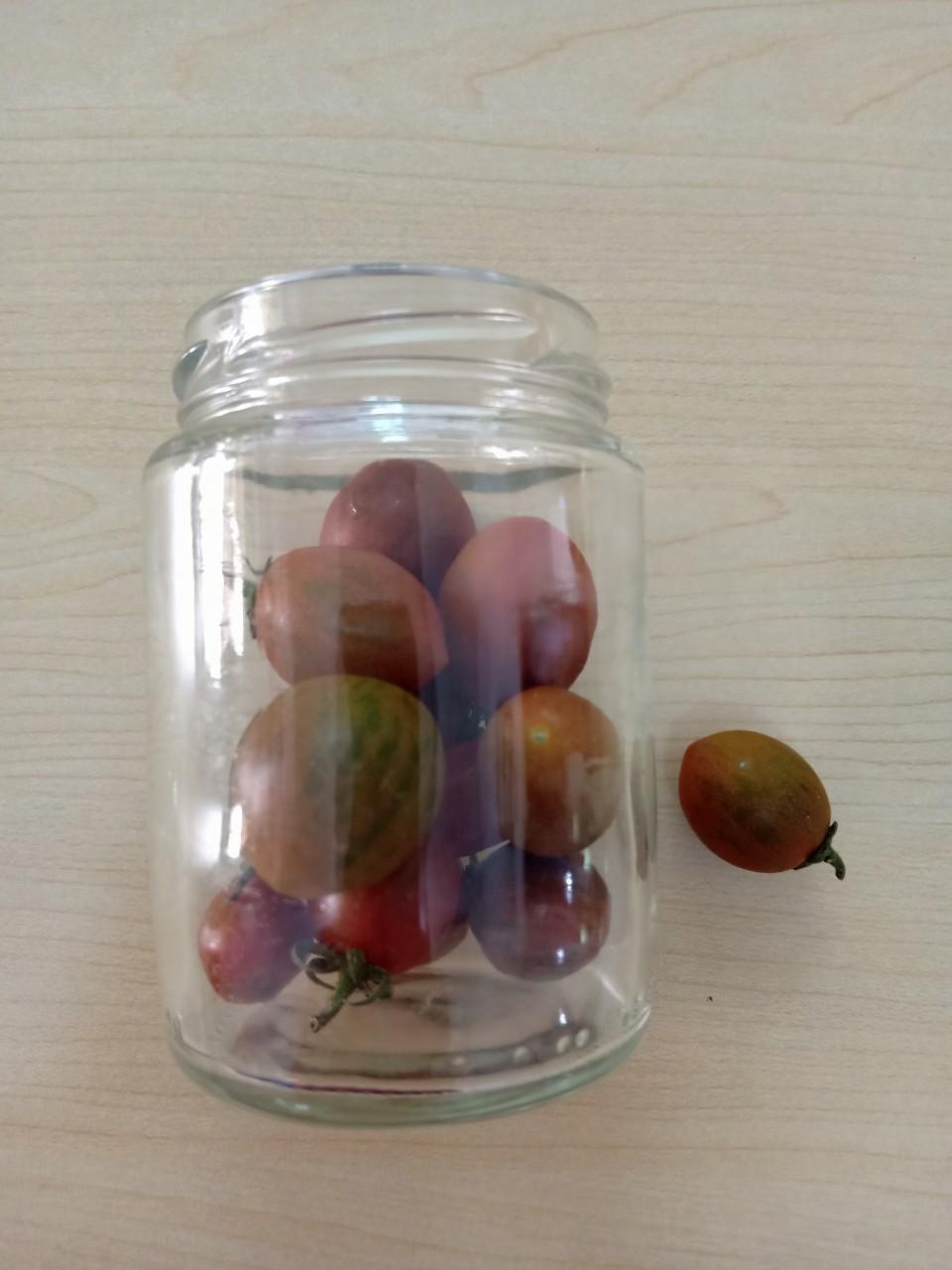 Combo 5 hủ thủy tinh tròn 180ml