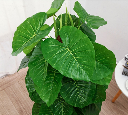 Cây Trầu Bà Giả Kèm Chậu