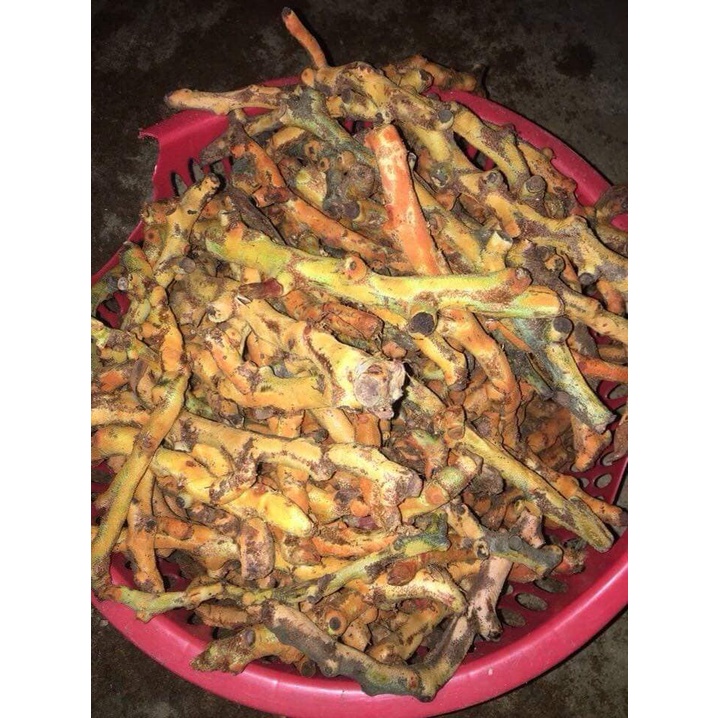 Cốt toái bổ khô 1 kg