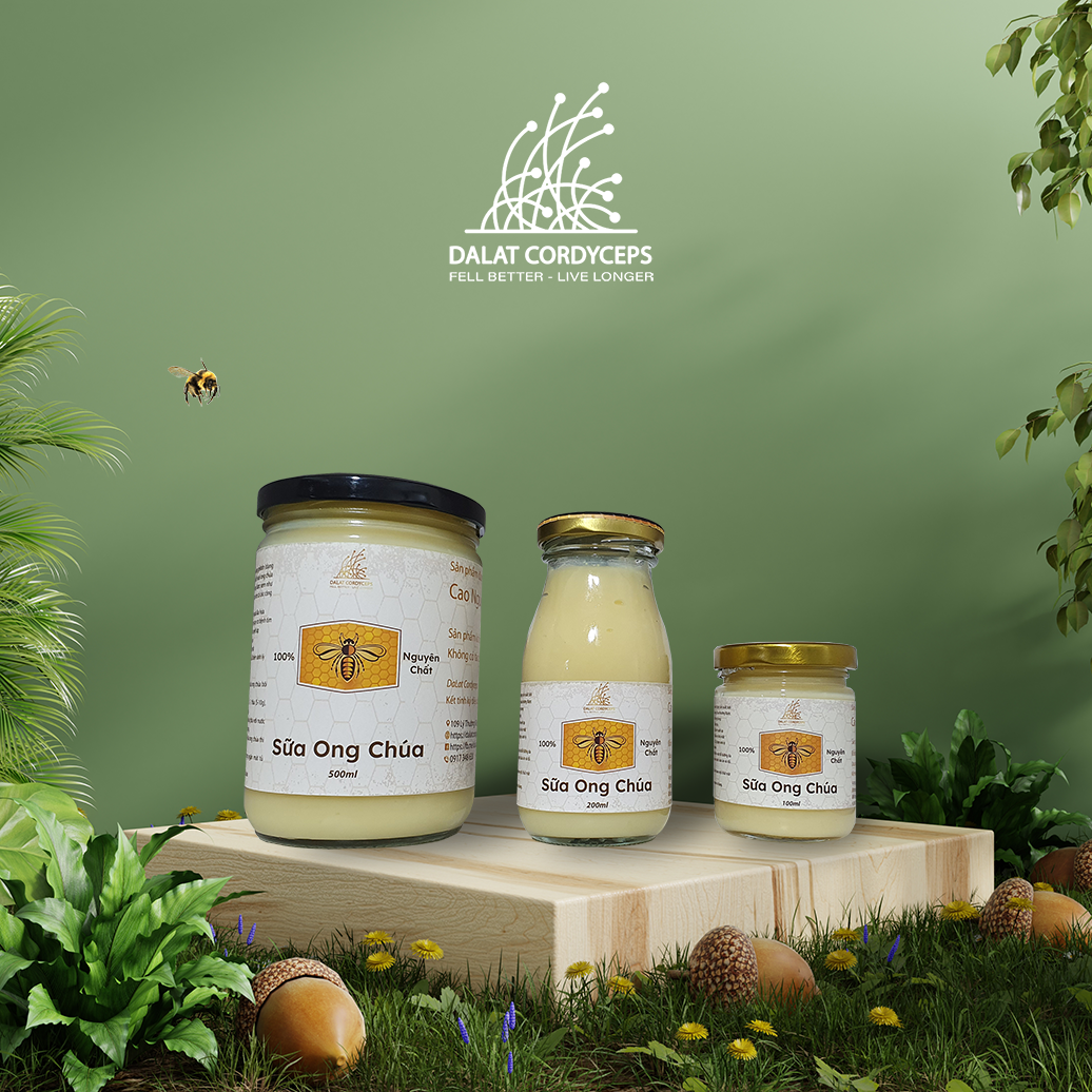 Sữa ong chúa tươi - Dalat Cordyceps