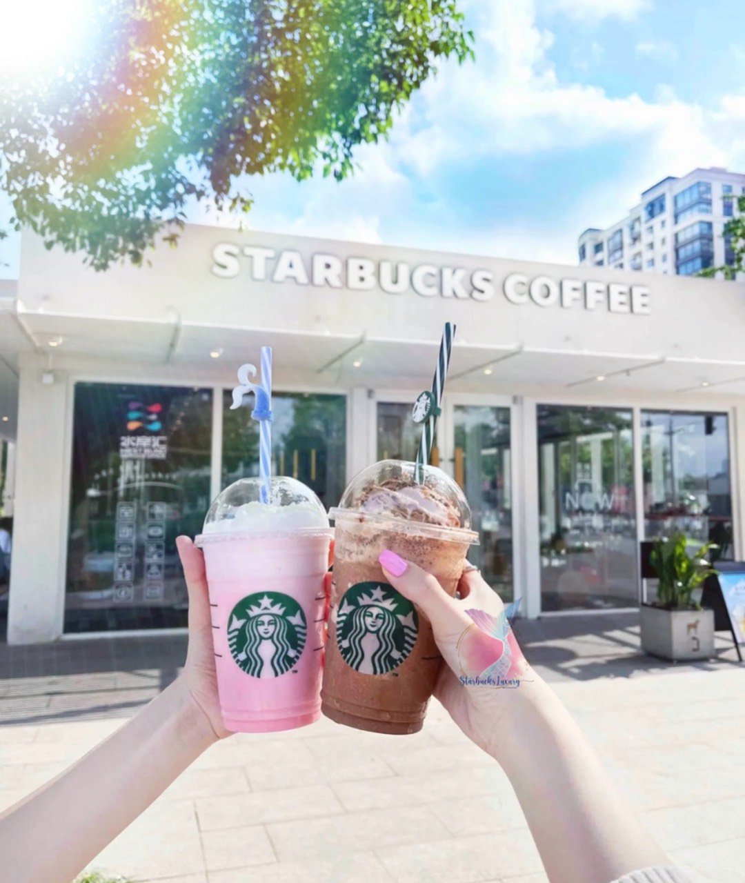 [AUTH] Ống hút toper chính hãng Starbucks
