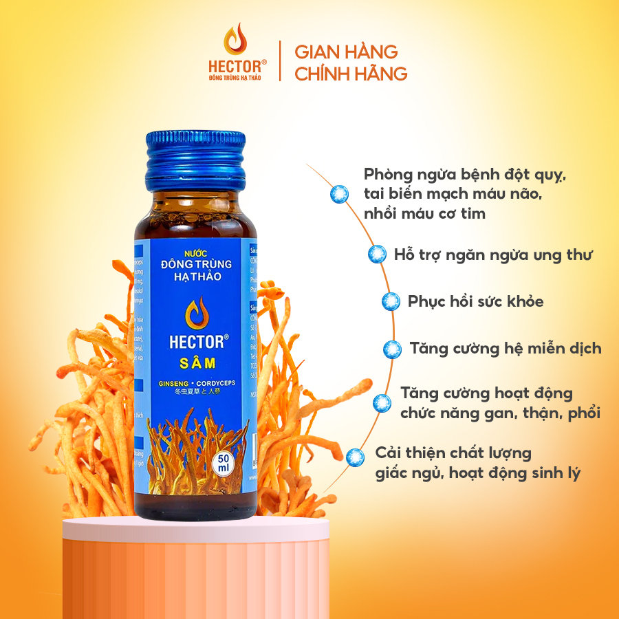 Combo 3 hộp Nước uống Đông Trùng Hạ Thảo Hector Sâm (50mlx30chai)