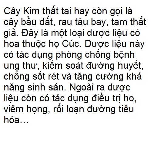 Cây giống kim thất tai (cây bầu đất)