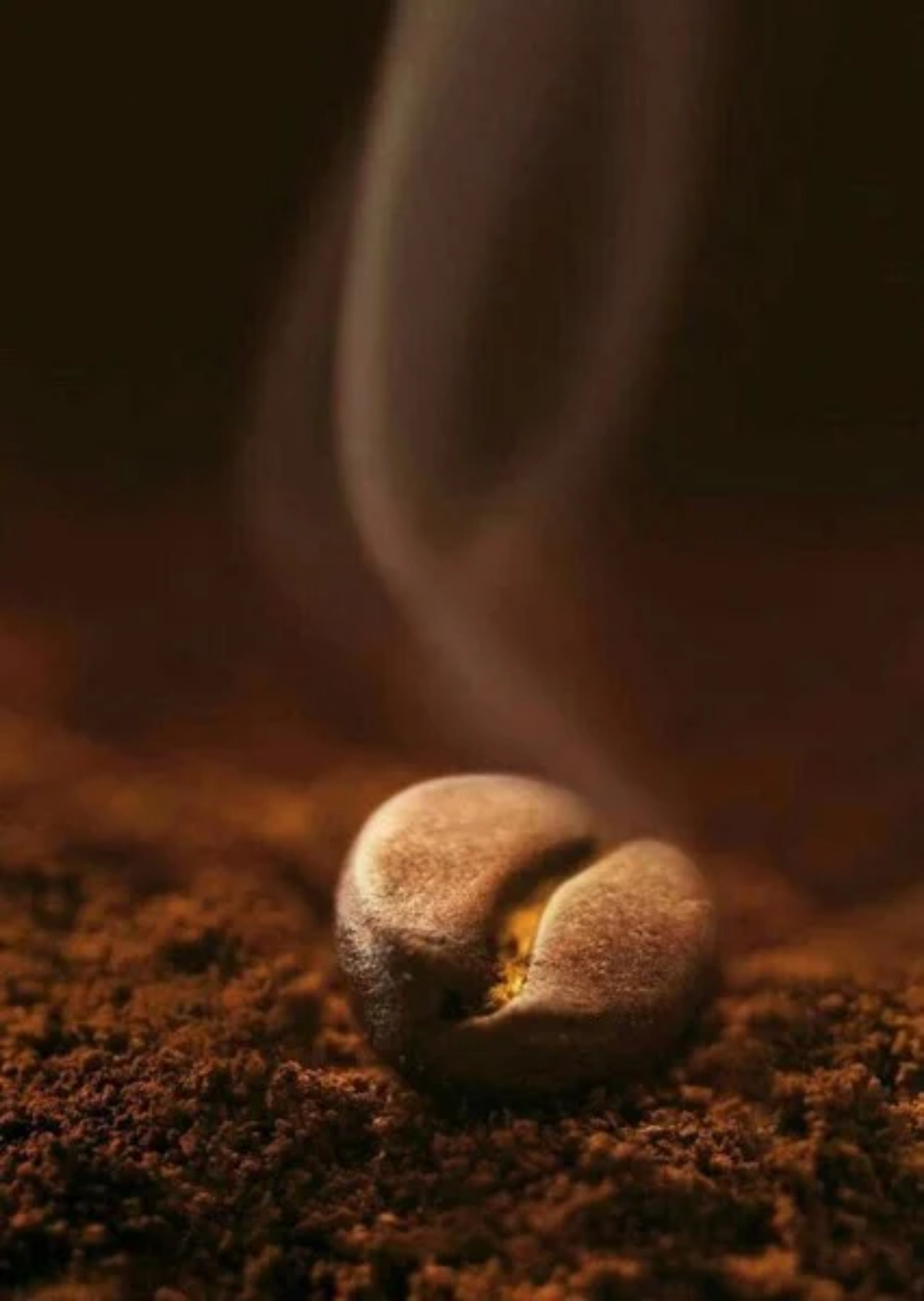 Cà Phê rang xay nguyên chất -Cà phê sạch -The Wait Coffee -Gu đậm - (gói 500gr)