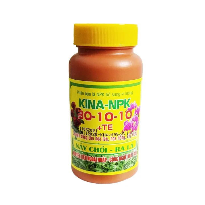 Aug 30-10-10 + te sprout leaf with sauce 100gr