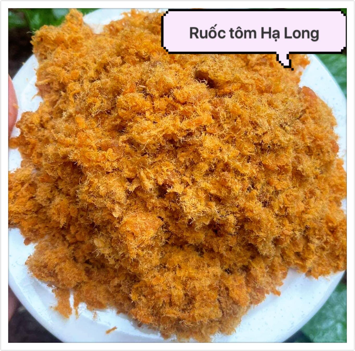 [SIÊU BỔ DƯỠNG] - 500g RUỐC TÔM THỊT - ĐẶC SẢN HẠ LONG LỌ 560G