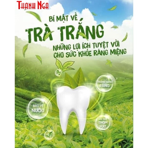 kem đanh răng A. mwa đa năng G. list.er