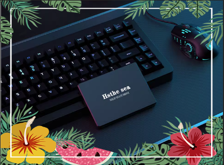 Ổ Cứng SSD Hsthesea 120GB - 240 G