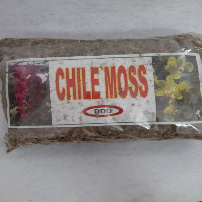 [HCM]Dớn chile giữ ẩm cho lan - gói 100 gram