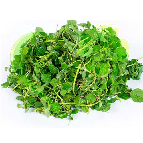 Hạt giống dền vàng, dền cơm - gói 10 gram