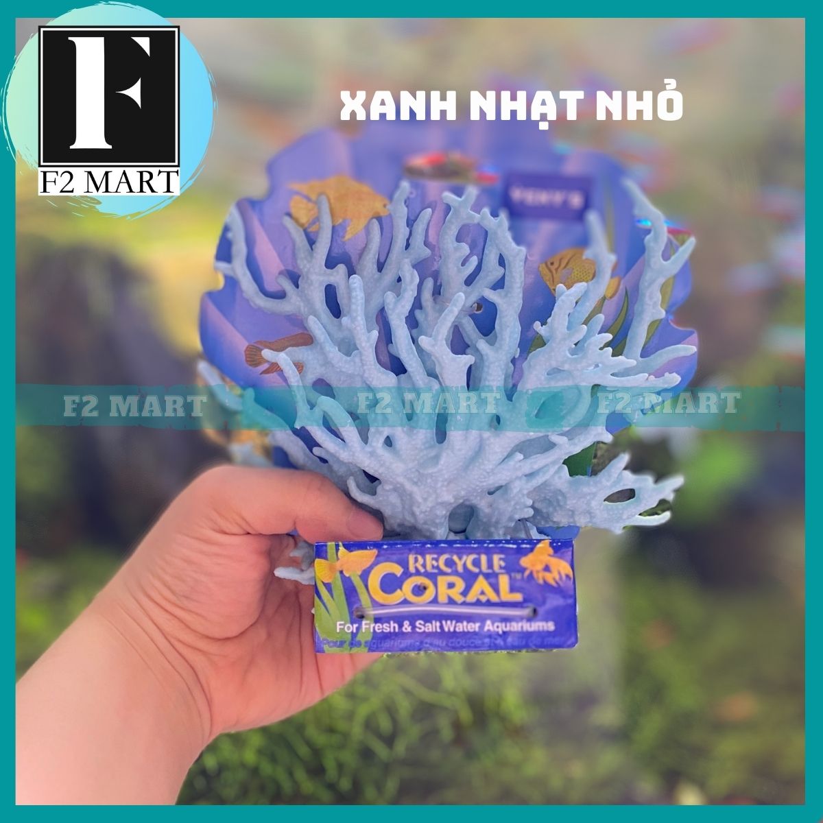San hô trang trí bể cá cảnh, hồ cá cảnh siêu đẹp
