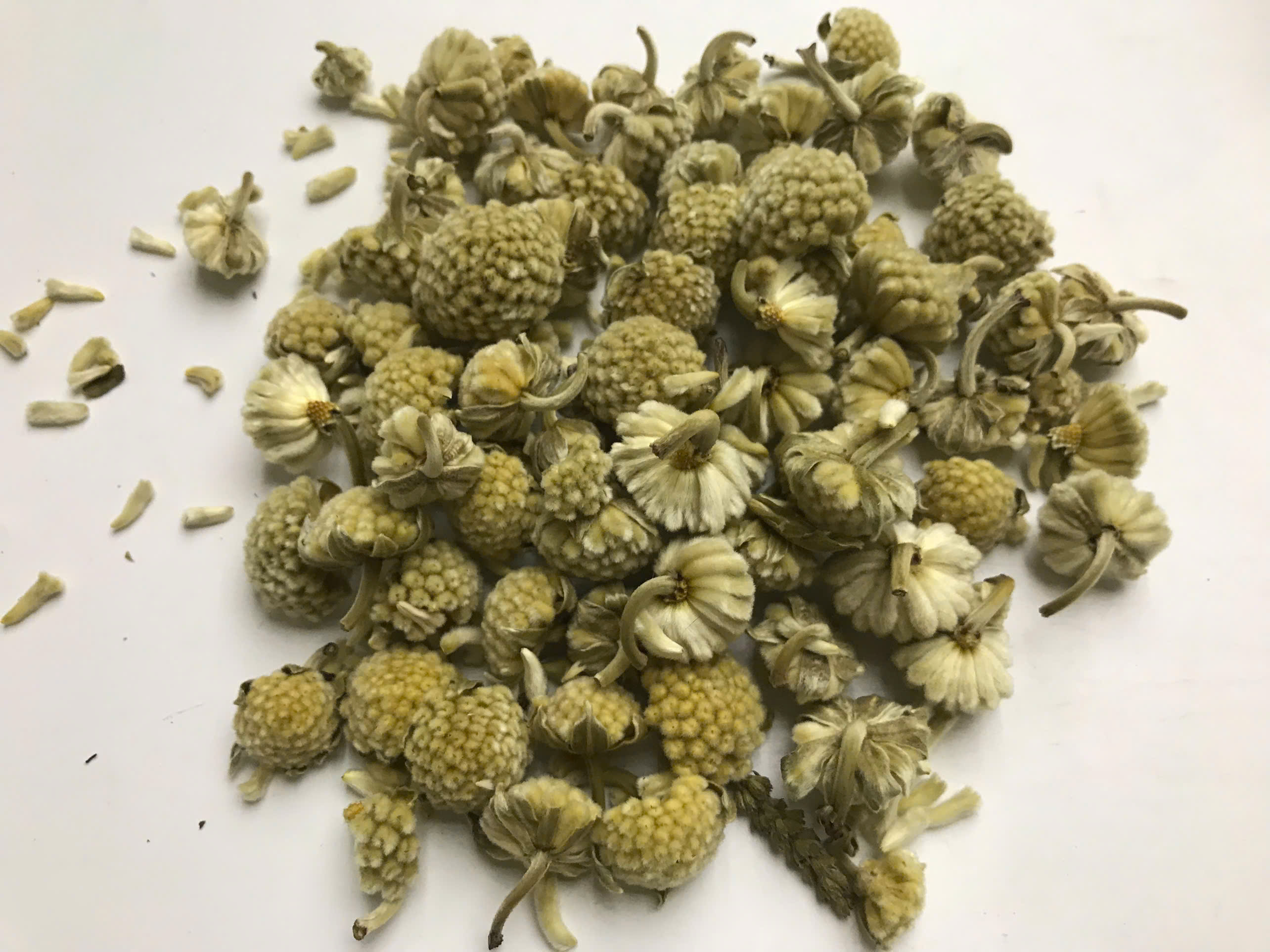 Mật Mông Hoa Khô 500g - Hàng Công Ty Loại 1