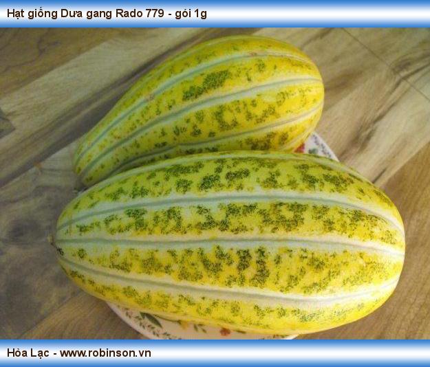 Hạt giống dưa gang rd 779 rạng đông gói 1gram