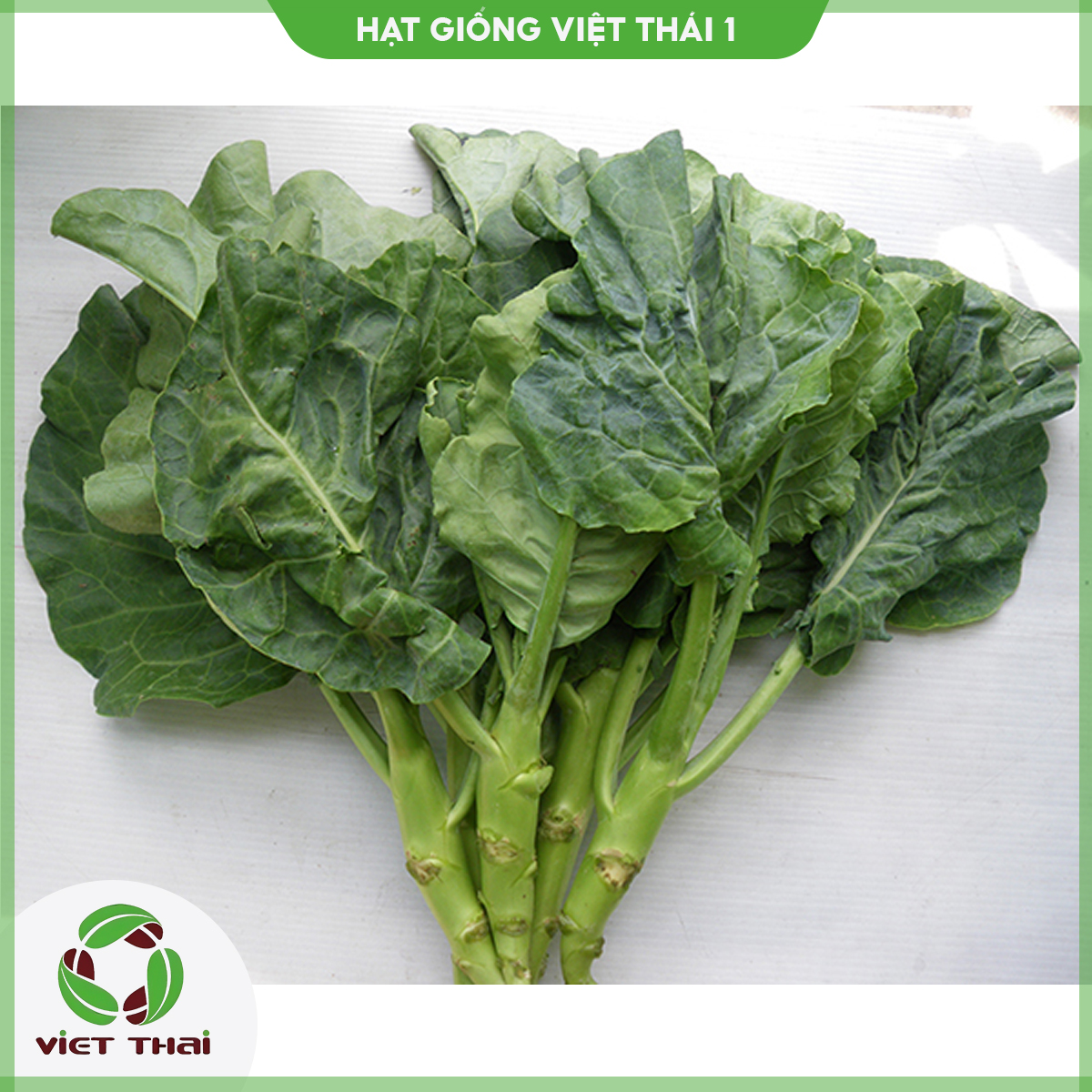 Hạt giống cải rổ tn - 56 - hgvt1