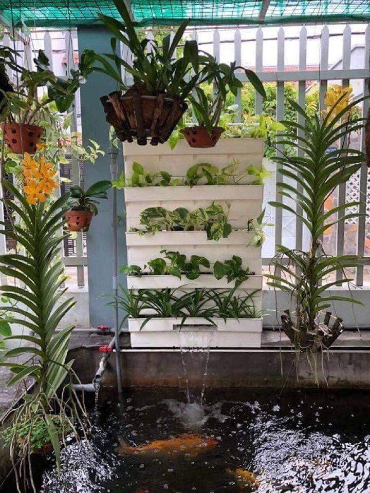 BAKKI LỌC NƯỚC HỒ CÁ