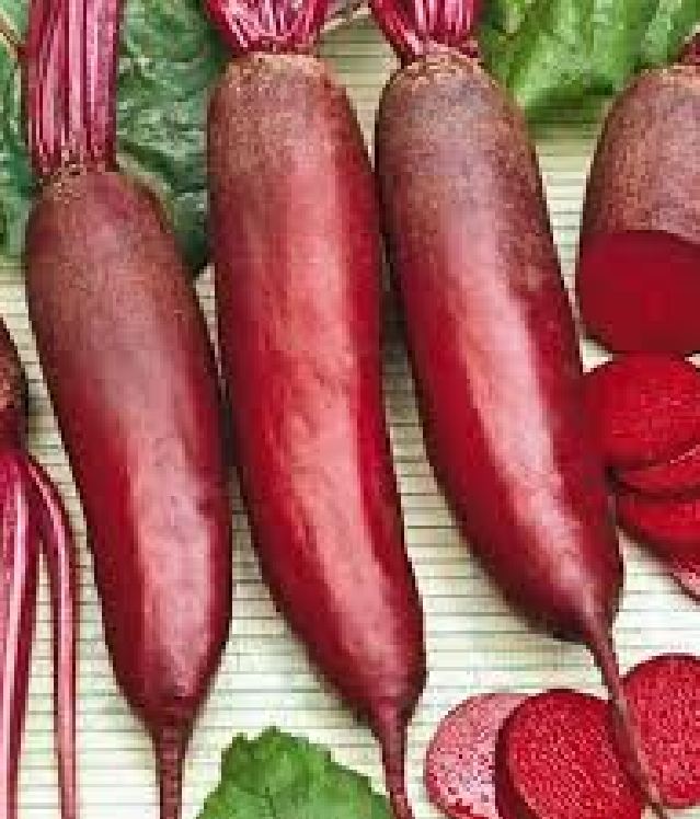 Túi 20 Gram Hạt giống củ cải đỏ sapa