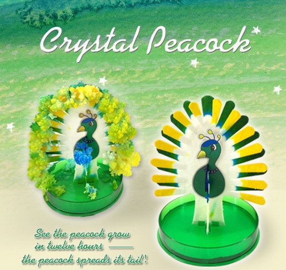 Đồ chơi nuôi tinh thể con công mọc lông Magic Peacock sặc sỡ (Tinh thể KDP / ADP )