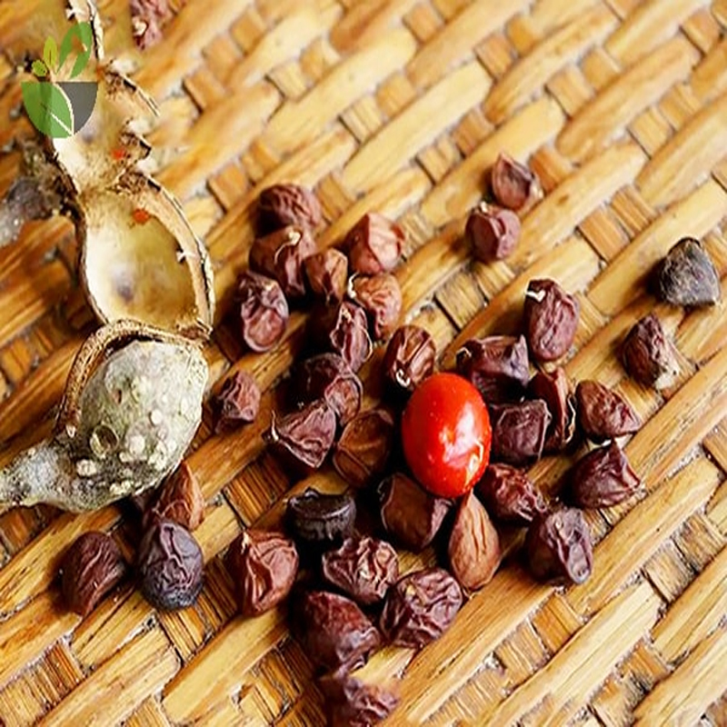 [Siêu Sale] 200gram hạt dổi rừng Tây Bắc
