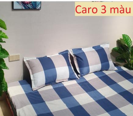 Bộ 2 Vỏ gối nằm,áo gối nằm cotton poly vải mềm mát,xả kho giá lỗ Mã hàng VG102 Bà Béo Kho chăn ga gối, ga giường, drap giường