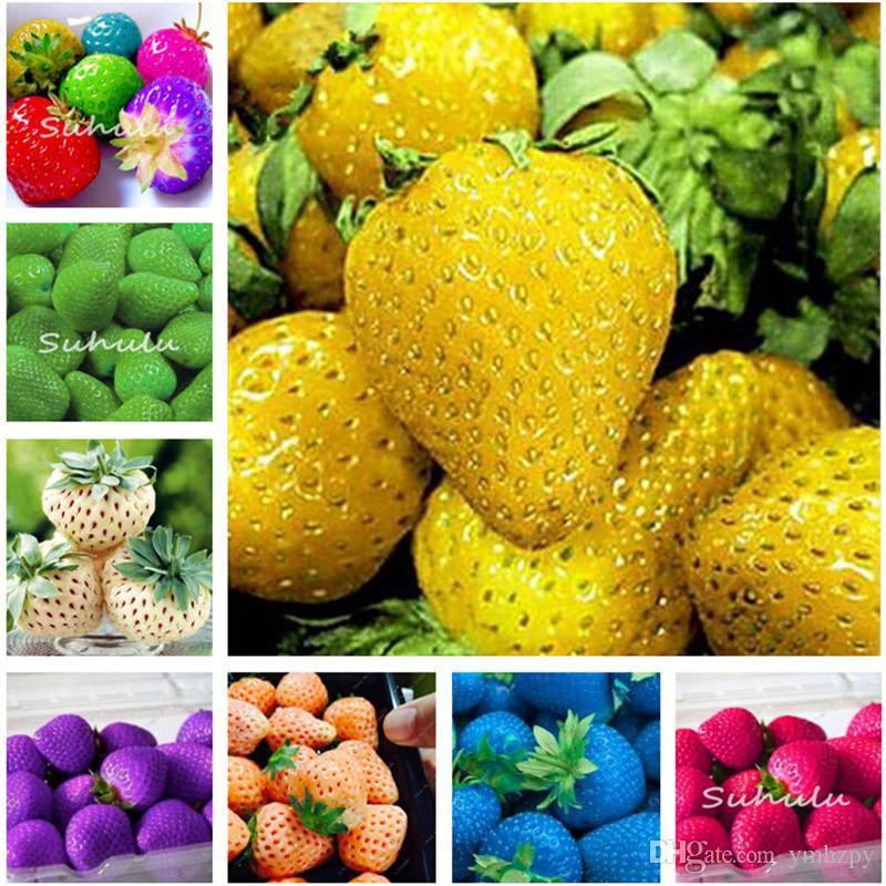 Mixed Color Strawberry seeds - Sale Off
