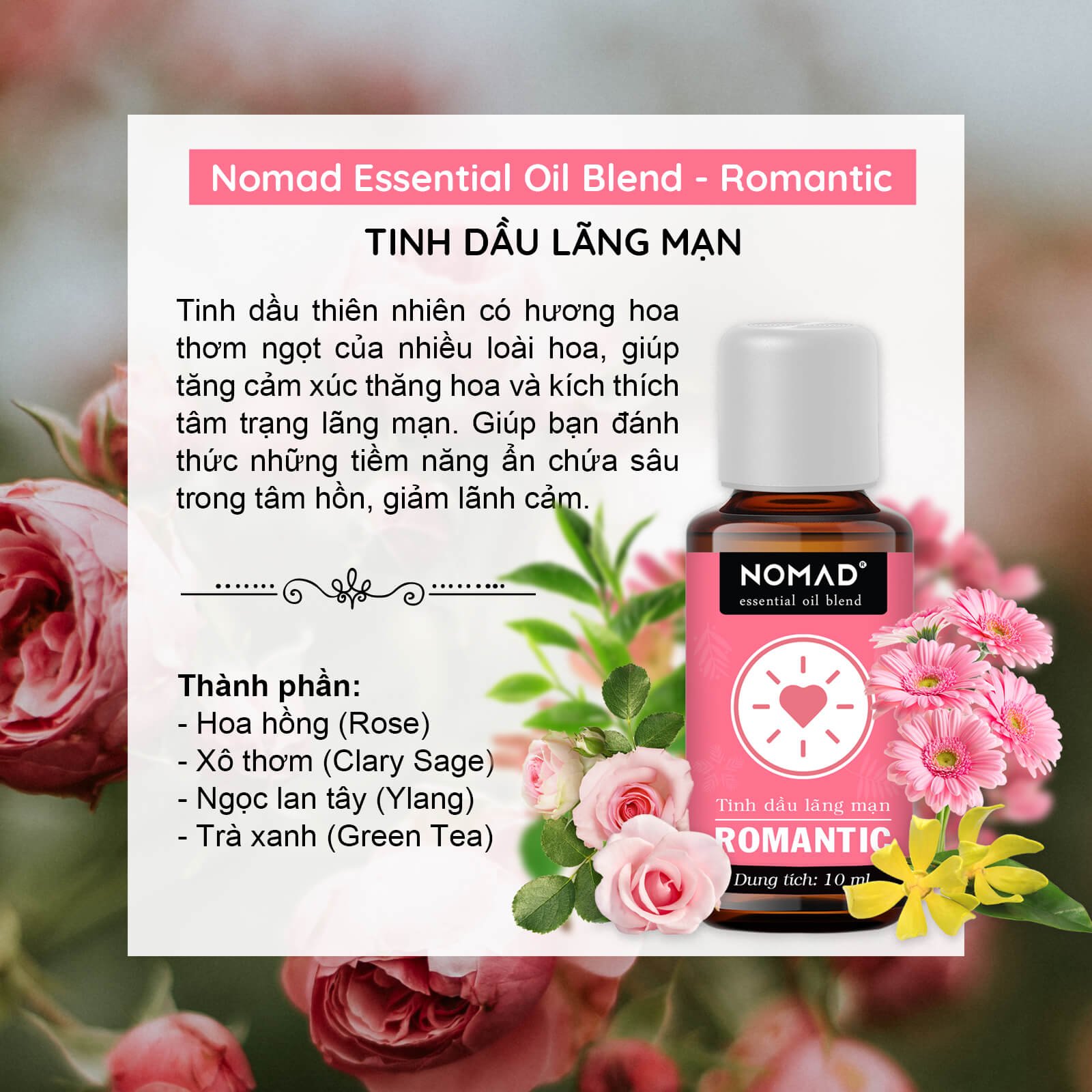 Tinh Dầu Thiên Nhiên Nomad Essential Oil Blend 10ml