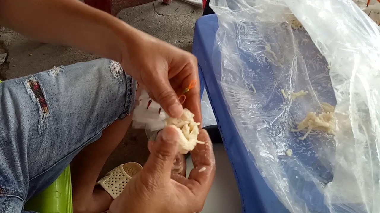 [CHÁO TRẮNG CÂU CÁ] CHÁO TRẮNG CÂU CÁ GIÓ NAM