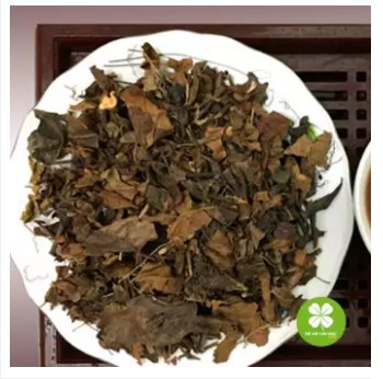 Cây sói rừng (1kg khô) -LV061