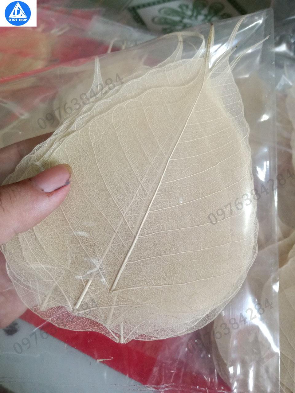set 20 xương lá bồ đề nguyên bản (tặng 1 cái)