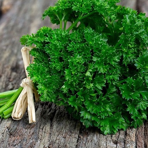 Tổng hợp các loại hạt giống rau thơm phổ biến