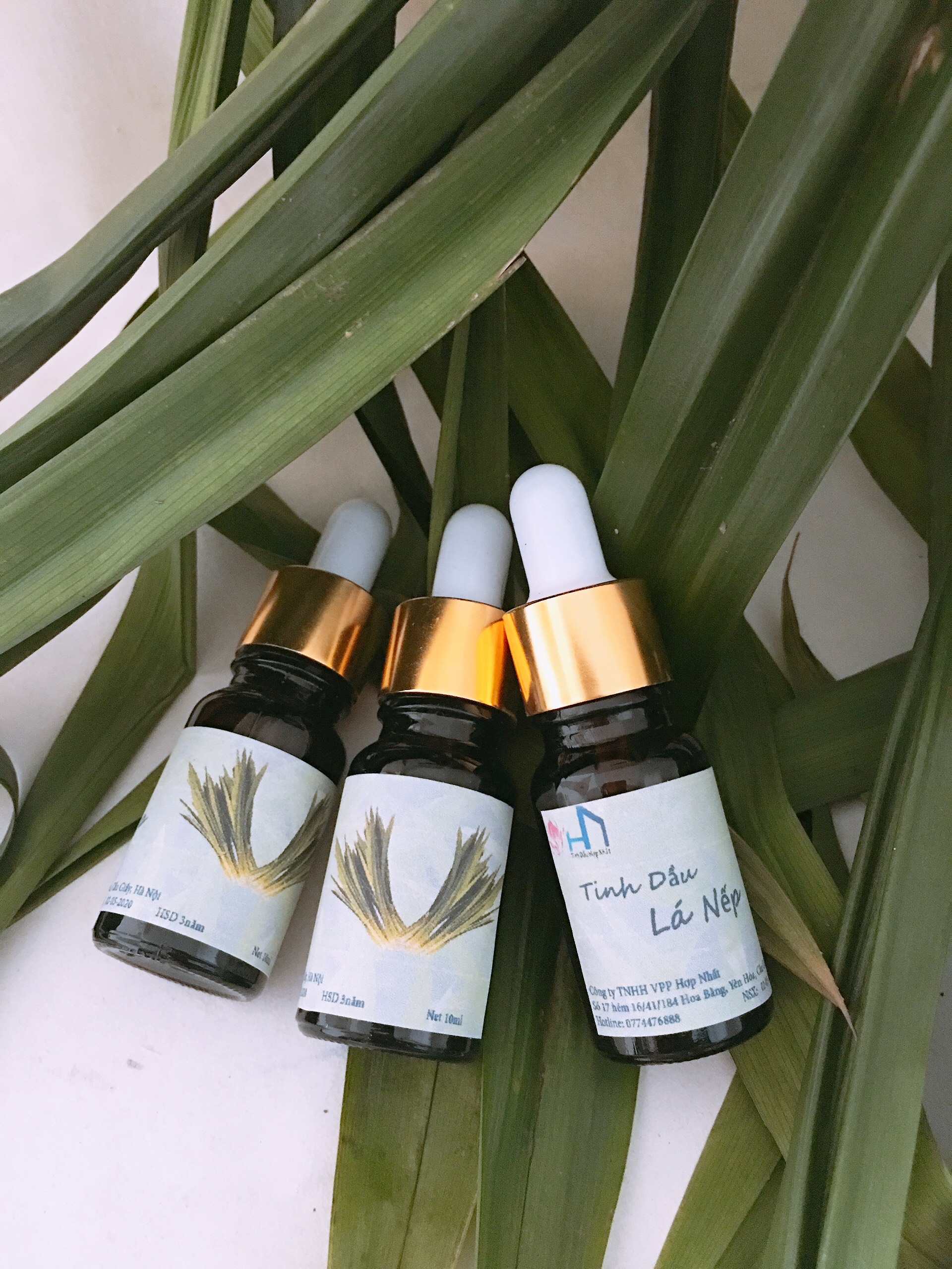Tinh dầu lá nếp thơm lọ 10ml
