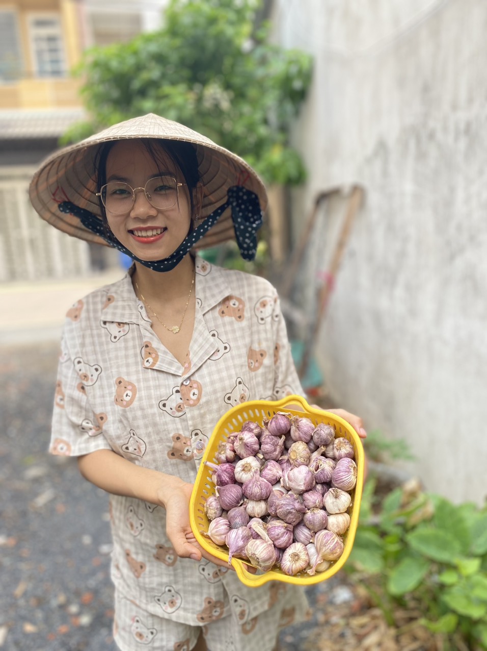 tỏi tím đà lạt củ to thơm ngon