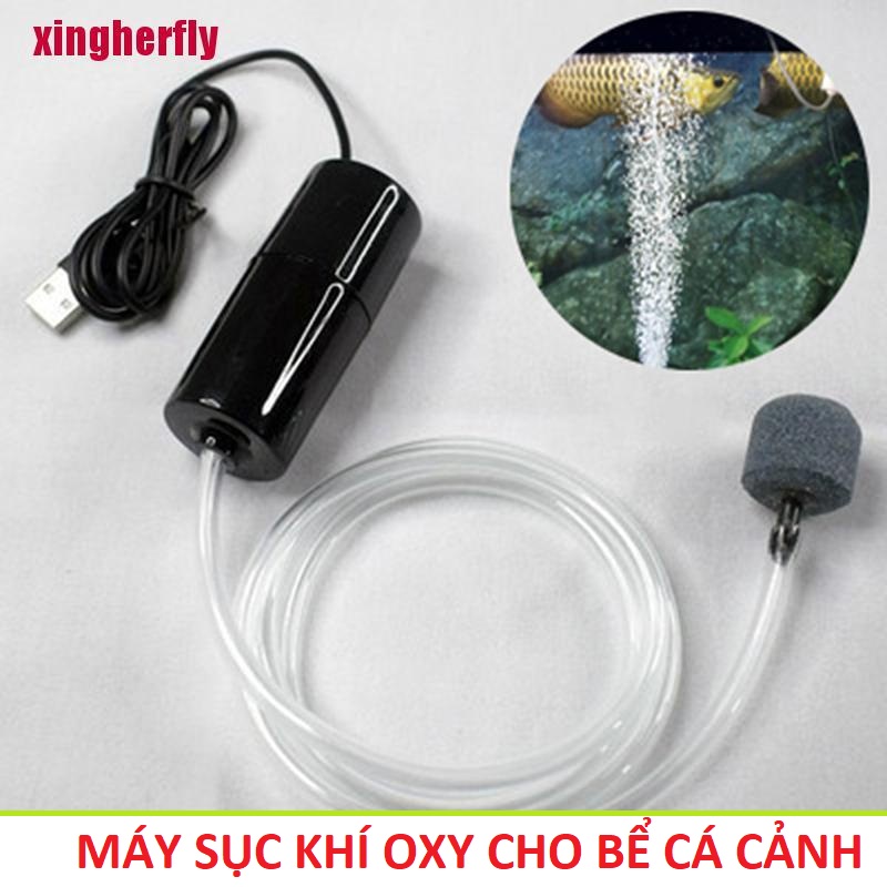 Máy sủi sục khí oxy cho bể cá cảnh loại tốt, máy bơm nước bể cá cảnh có đèn đổi màu trang trí đẹp , phụ kiện bể cá cảnh