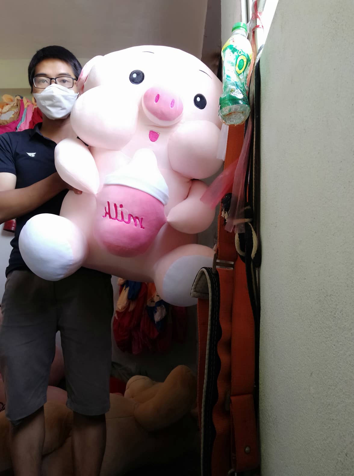 Gấu Bông Heo bông  ôm bình sữa