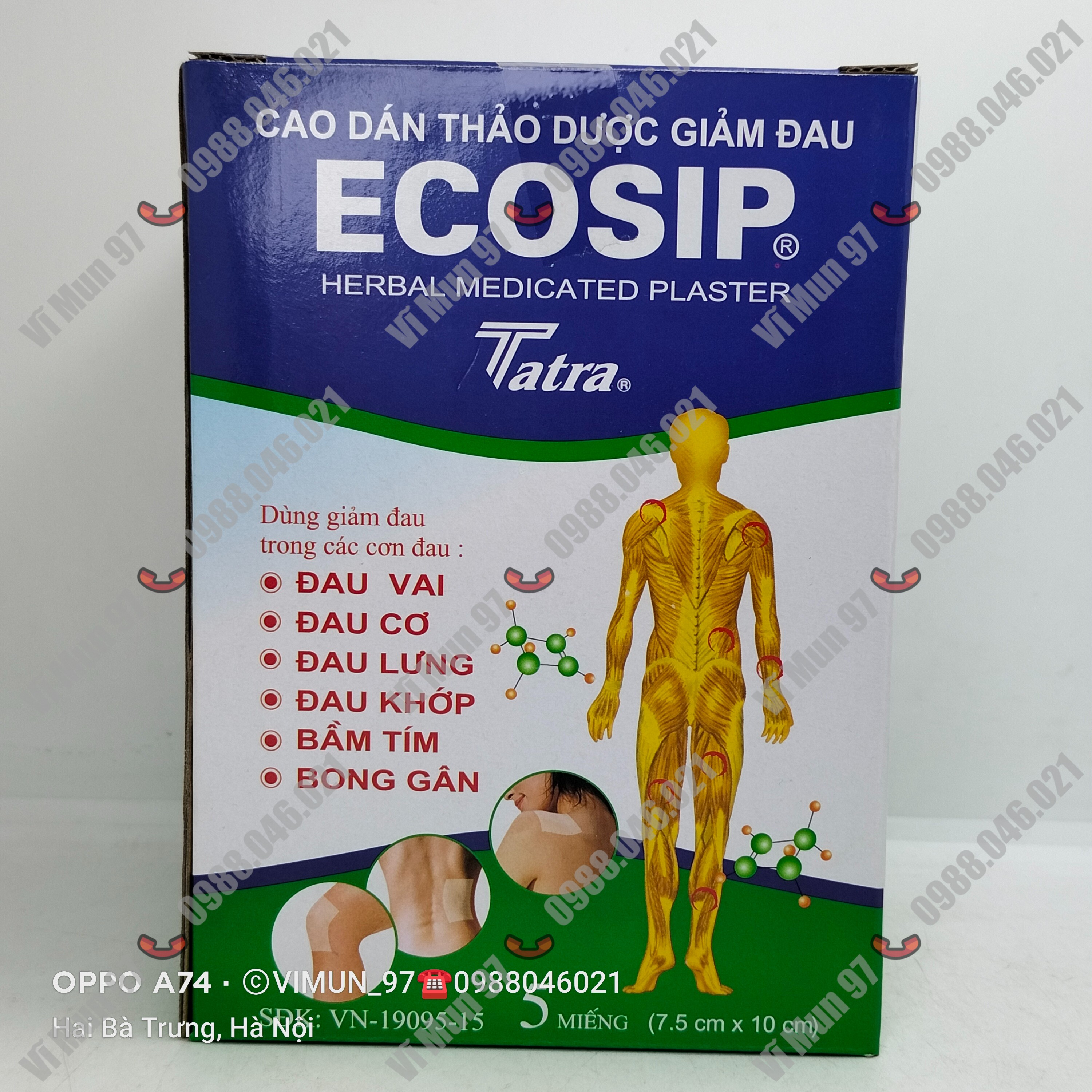 Cao dán thảo dược giảm đau ECOSIP Plaster hộp 20 gói x 5 miếng