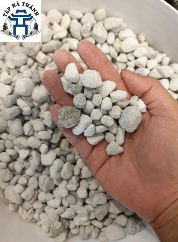 Seachem Matrix 100ml - Vật Liệu Lọc Cao Cấp Cho Bể Cá