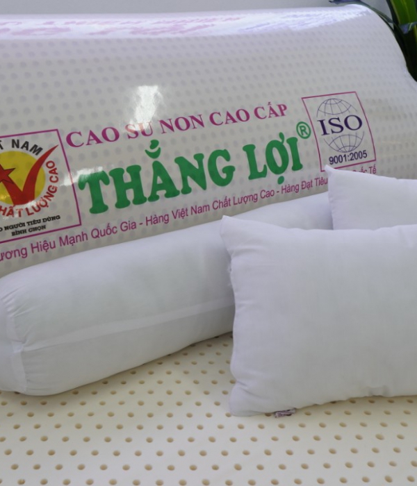 1 GỐI NẰM CAO SU NON THẮNG LỢI 40x60cm