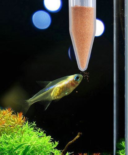 Ống Artemia Nhỏ Giọt