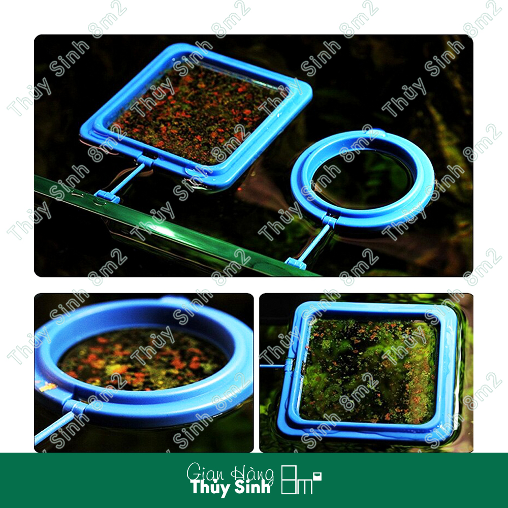Vòng Nổi Giữ Thức Ăn Cho Cá Ăn | Dụng Cụ Cho Cá Ăn | 8m2