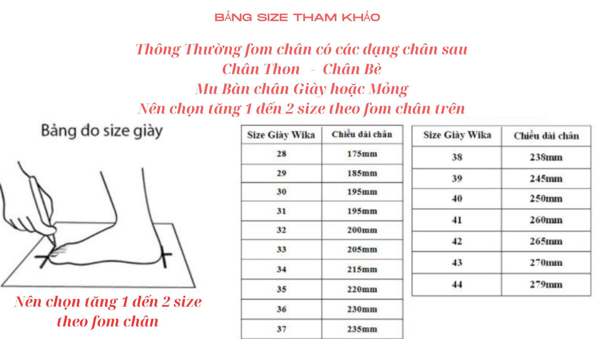 GIÀY CẦU LÔNG A SIA MCS 02