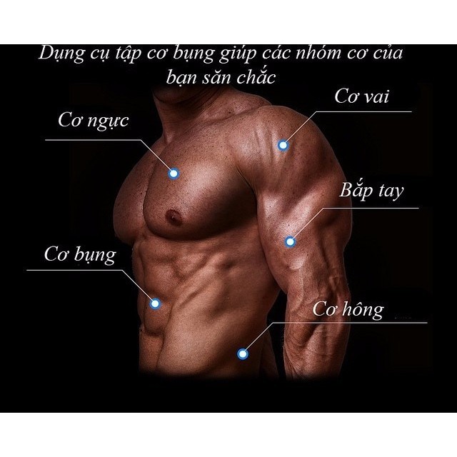 Con Lăn Tập Cơ Bụng - Dụng Cụ Tập Cơ Bụng